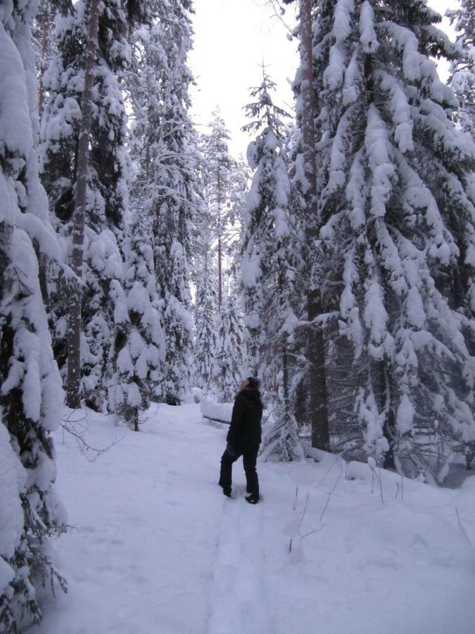 Menninkaeinen Cottage Rutalahti Eksteriør bilde